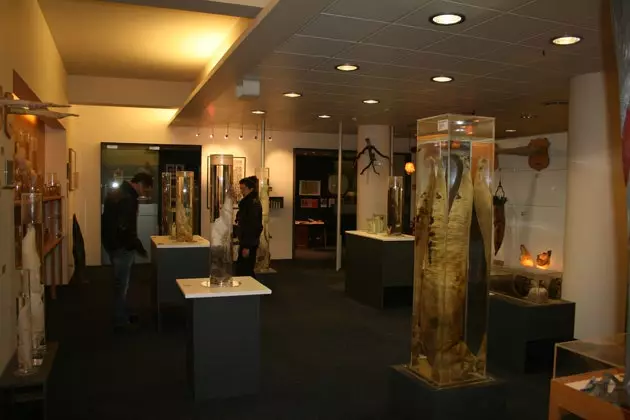 museum