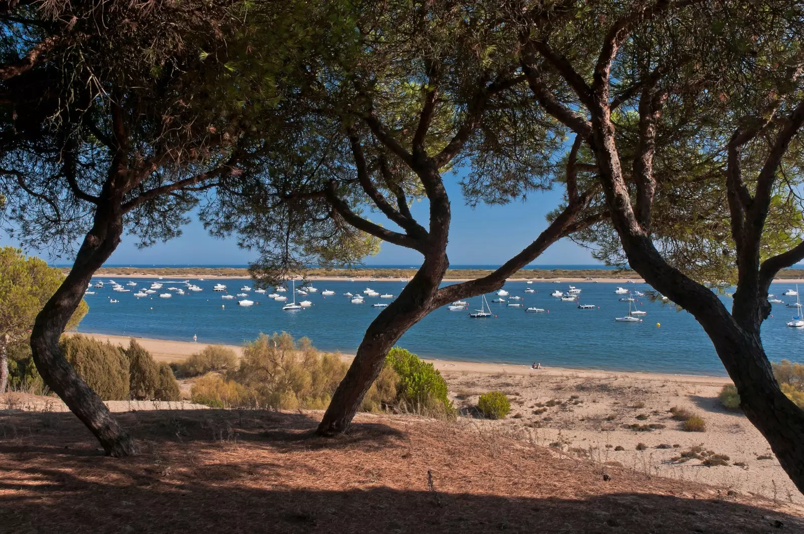 Caño de la Culata Nuevo Portil un El Portil pludmales ieskauj aizsargājami priežu meži.