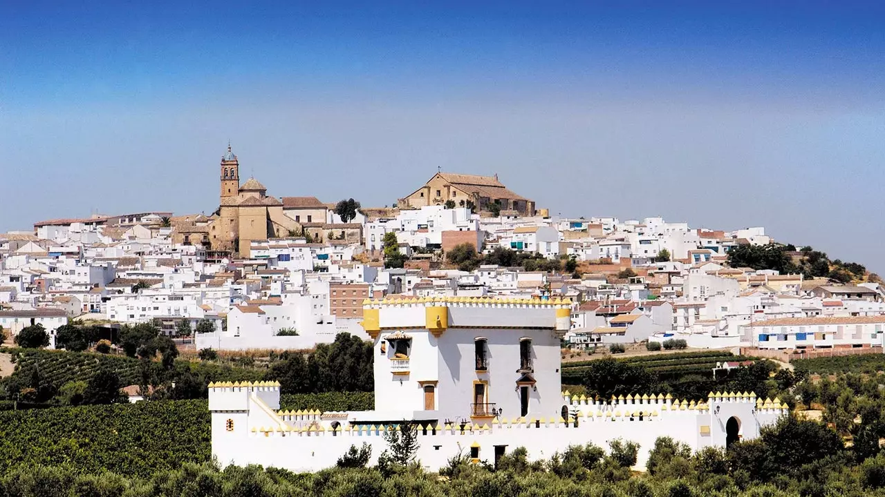 Montilla, una fuga (con i vini) da un'altra galassia