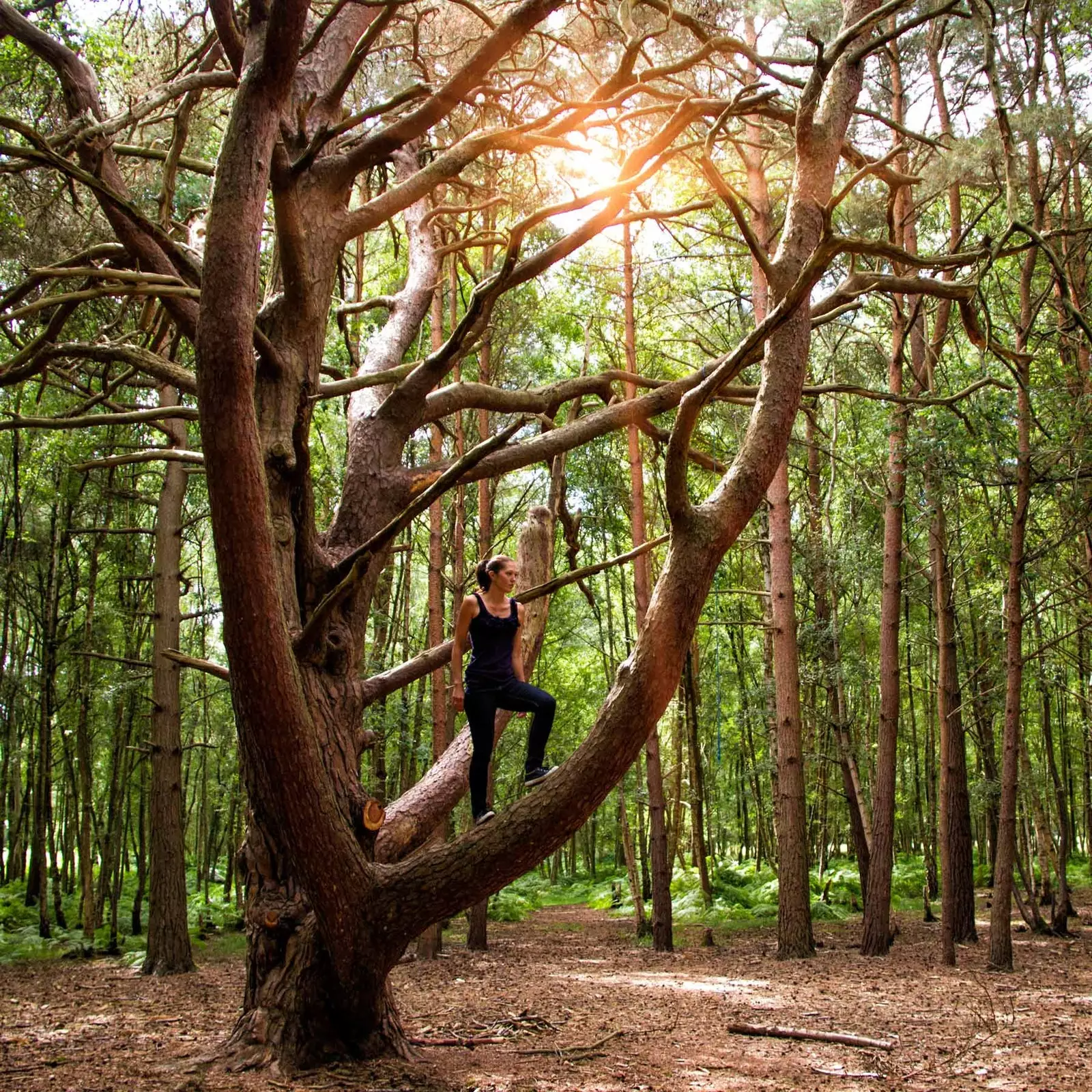 mandi hutan