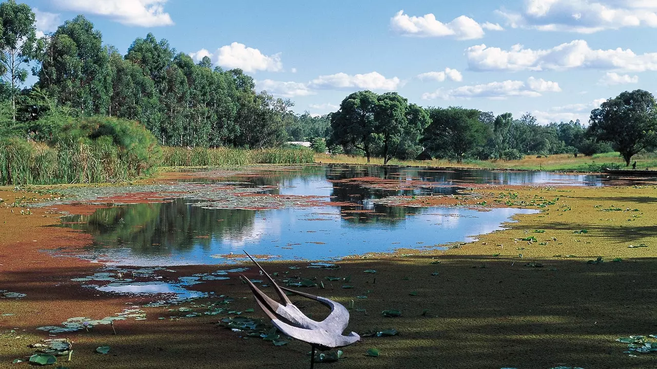 Chapungu-skulpturparken: hvor steinene snakker