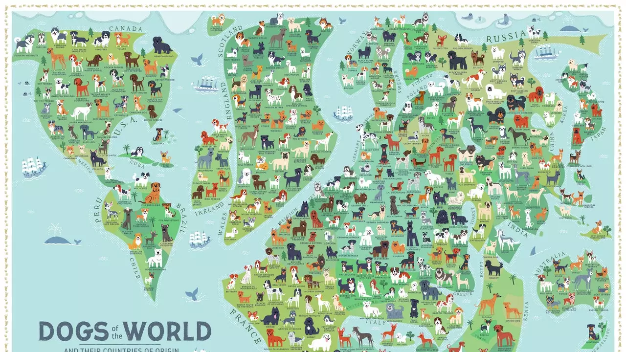 To jest mapa, która pokaże, z jakiego kraju pochodzi Twój pies