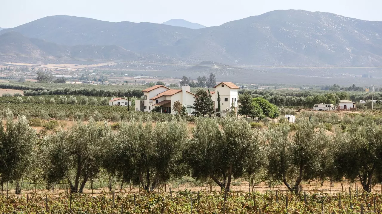 Lõplik teekond läbi Mehhiko: teeme ringkäigu Valle de Guadalupe'is