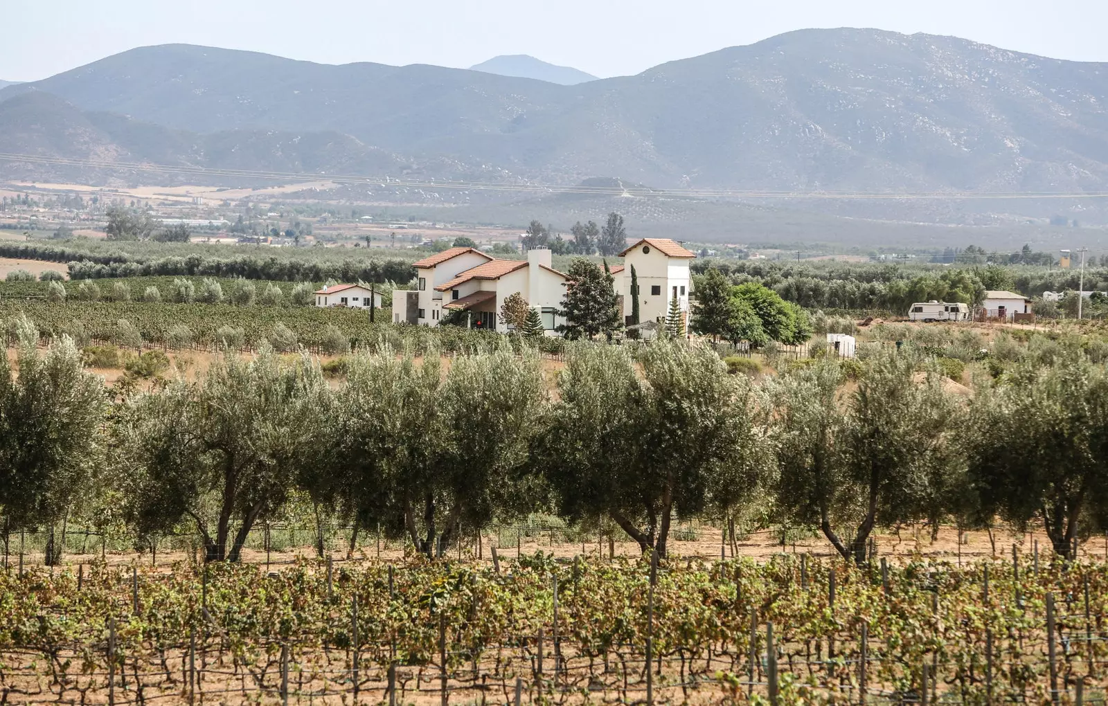 Rotta tal-inbid minn Valle de Guadalupe Baja California Messiku.