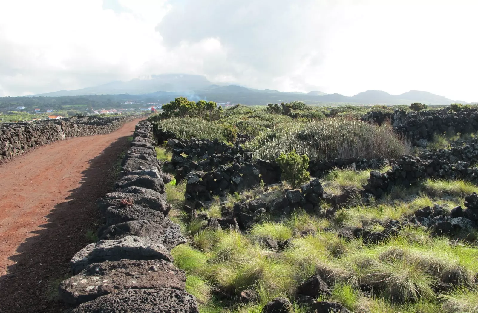 Studio e tij është në São Mateus në ishullin Pico të Azores.