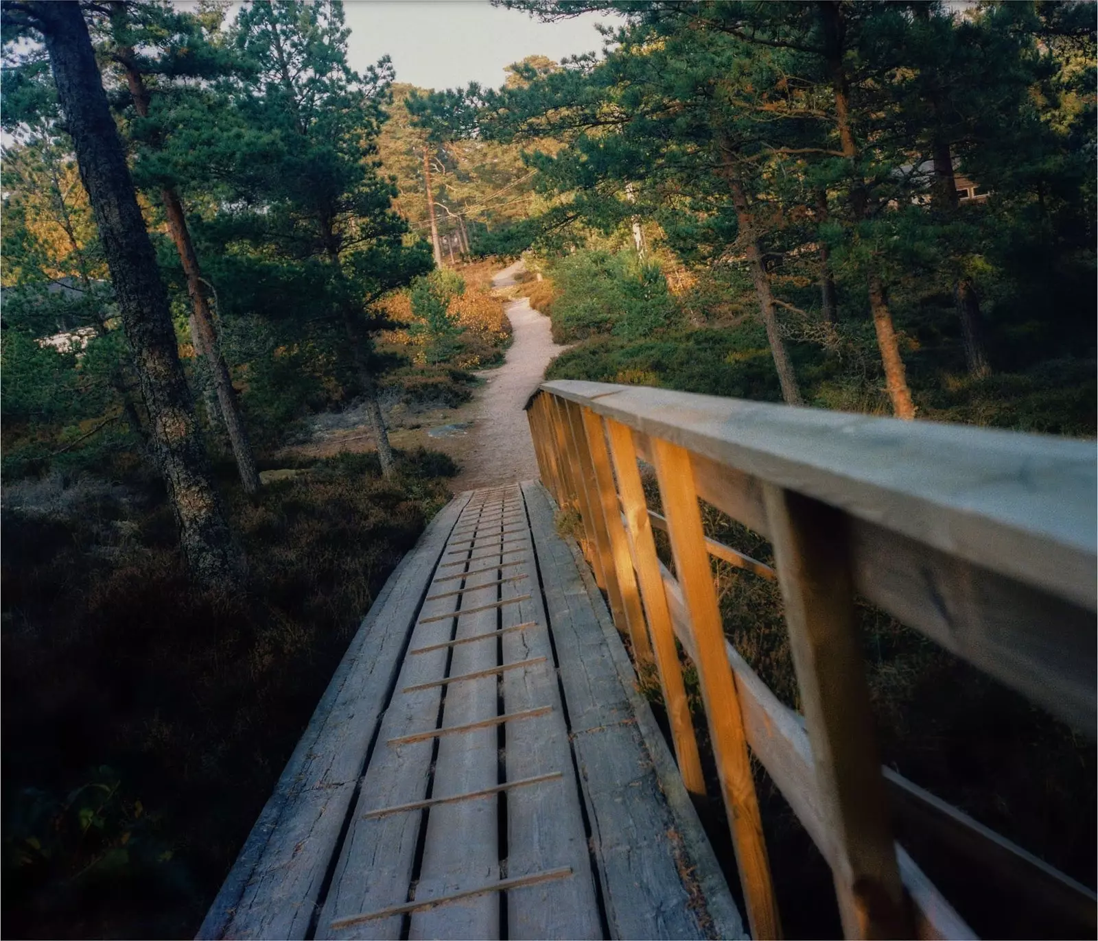 Außerhalb der Saison sind die schönen Pfade und Trails durch die Pinienwälder praktisch menschenleer