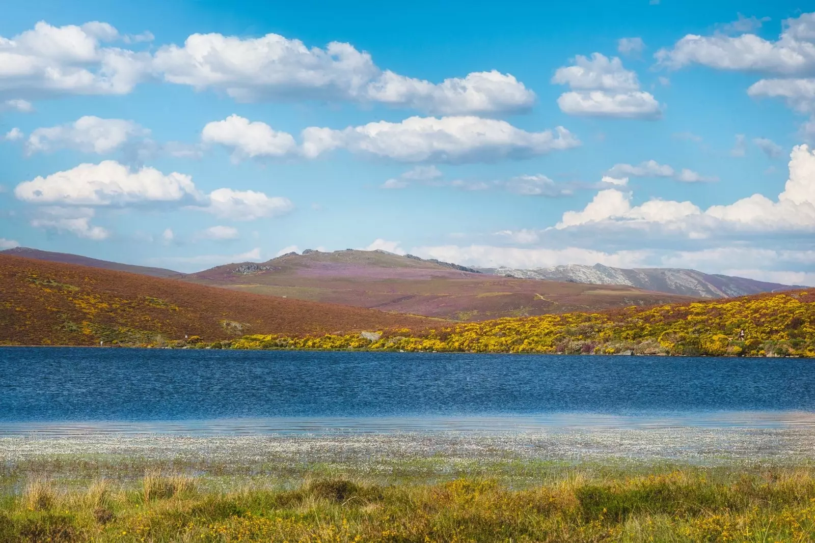 Координати за разхлаждане в Замора