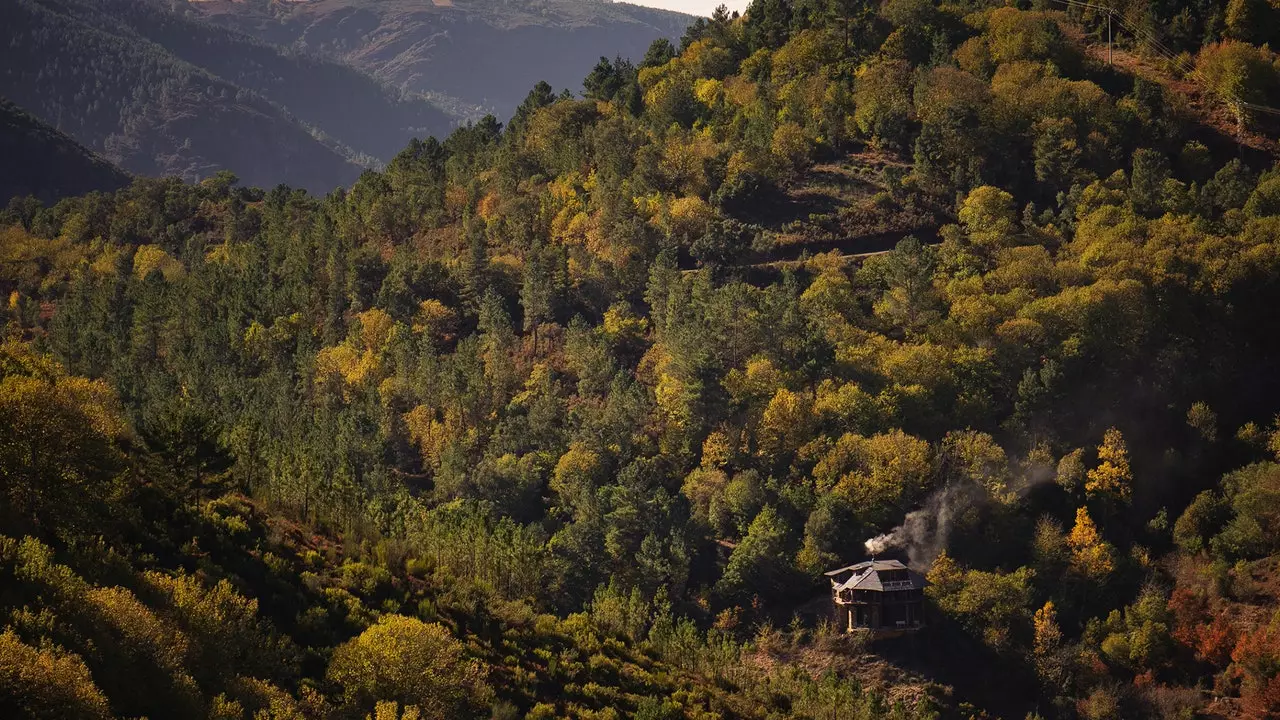 Sierra de O Courel: Asili ya pori ya Kigalisia