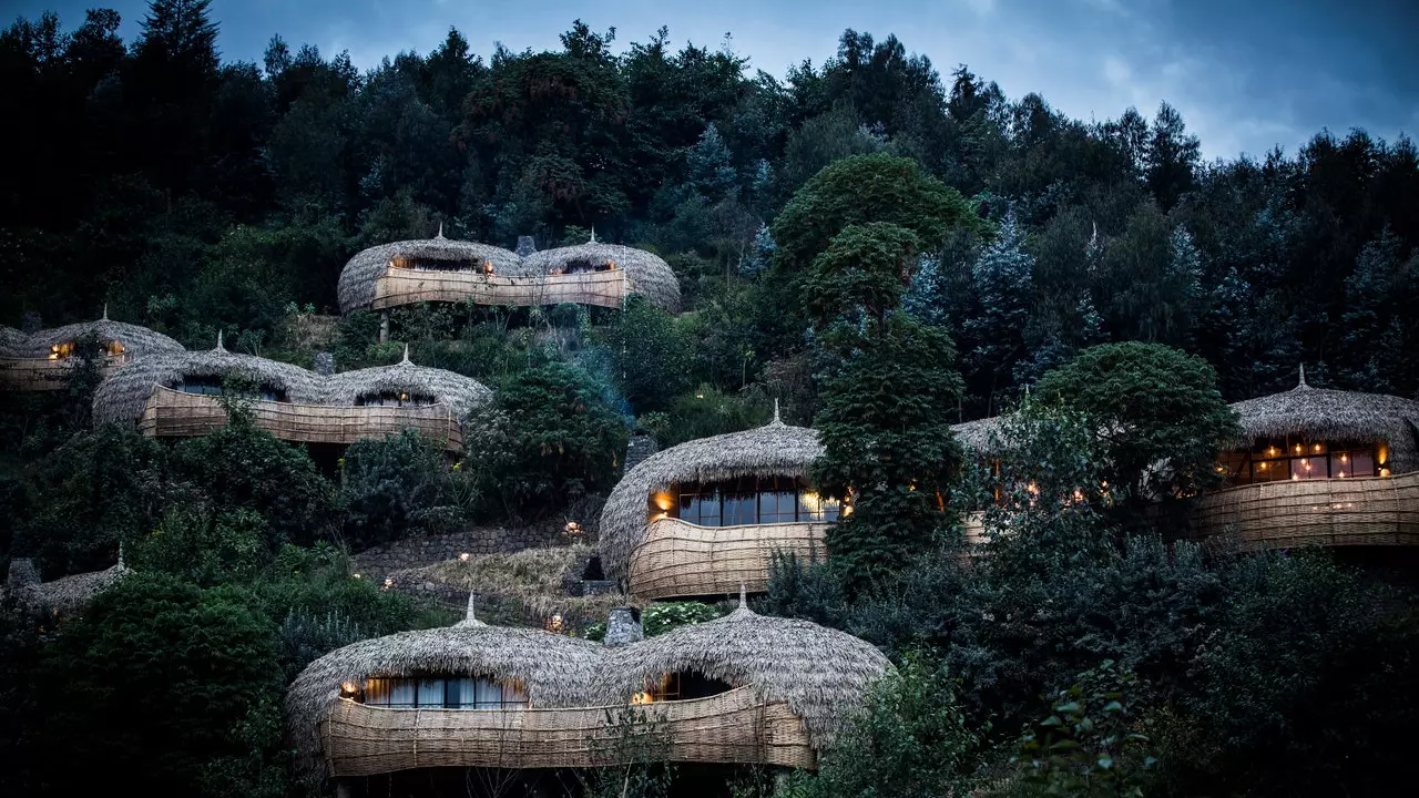 Bisate Lodge, khách sạn sang trọng nuôi khỉ đột ở Rwanda