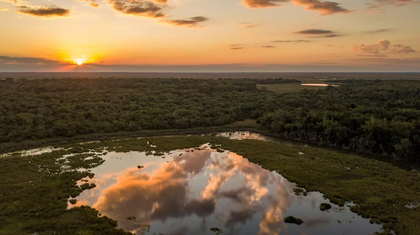 Parc national de l'Iber province de Corrientes Argentine