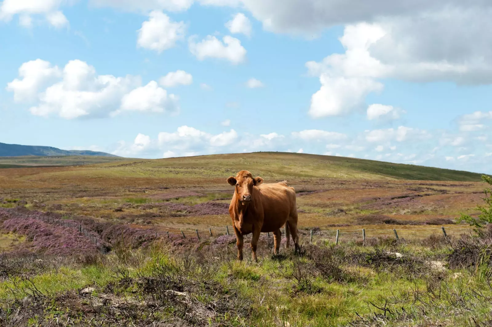 Along the way you will find landscapes and native species.