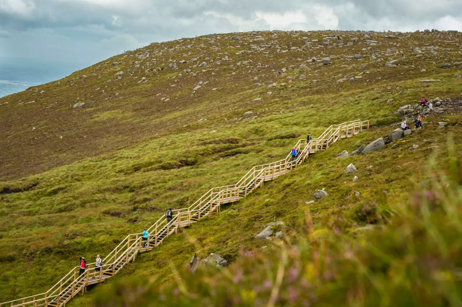 Irlandia petualang menunggu