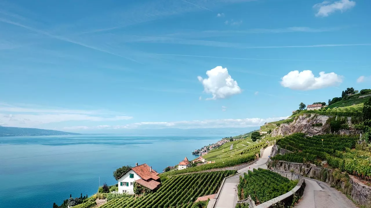 Z Genewy do Lavaux: tylko godzina od serca Patek Philippe