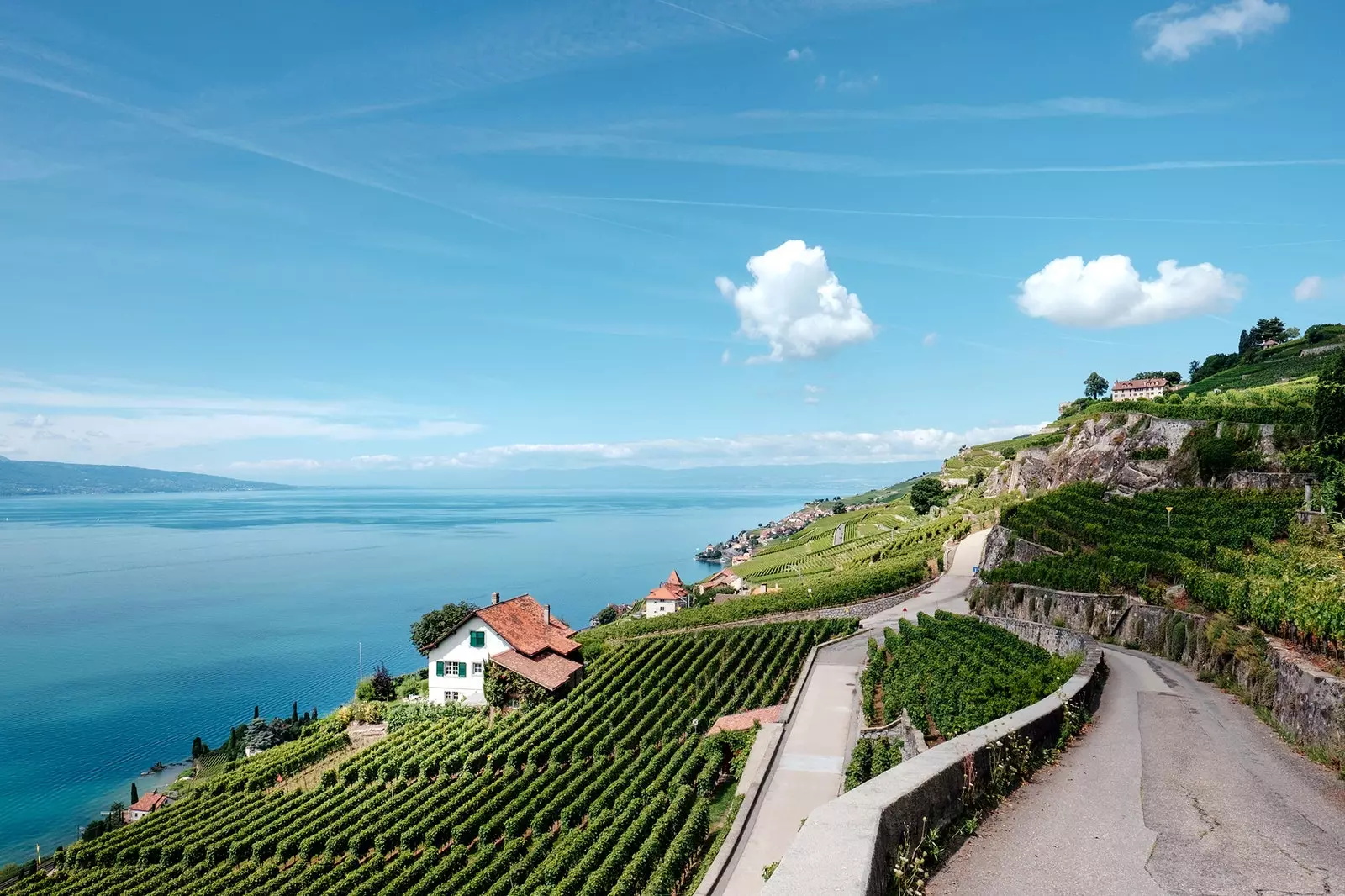 Lavaux