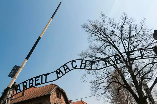 ဥပမာအားဖြင့်၊ Auschwitz တွင် နာကျင်မှု၊ နာမကျန်းမှုနှင့် သေခြင်းဆီသို့ ဦးတည်သော ခရီးများ