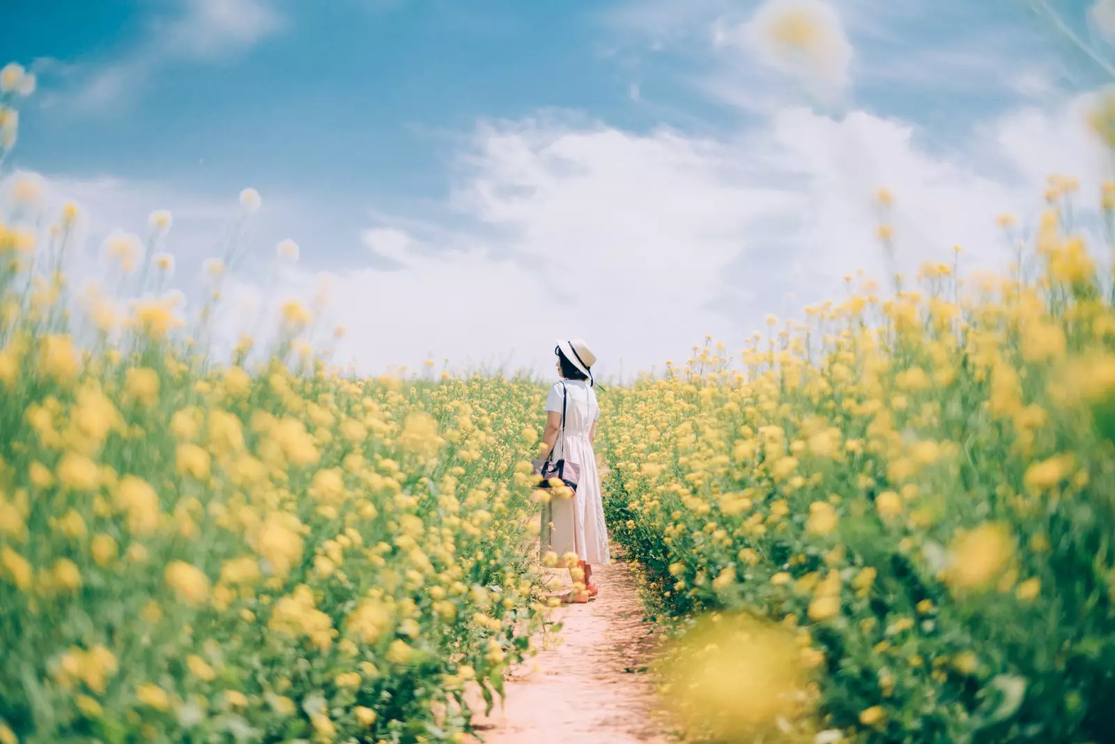 Femme coréenne dans un champ de fleurs