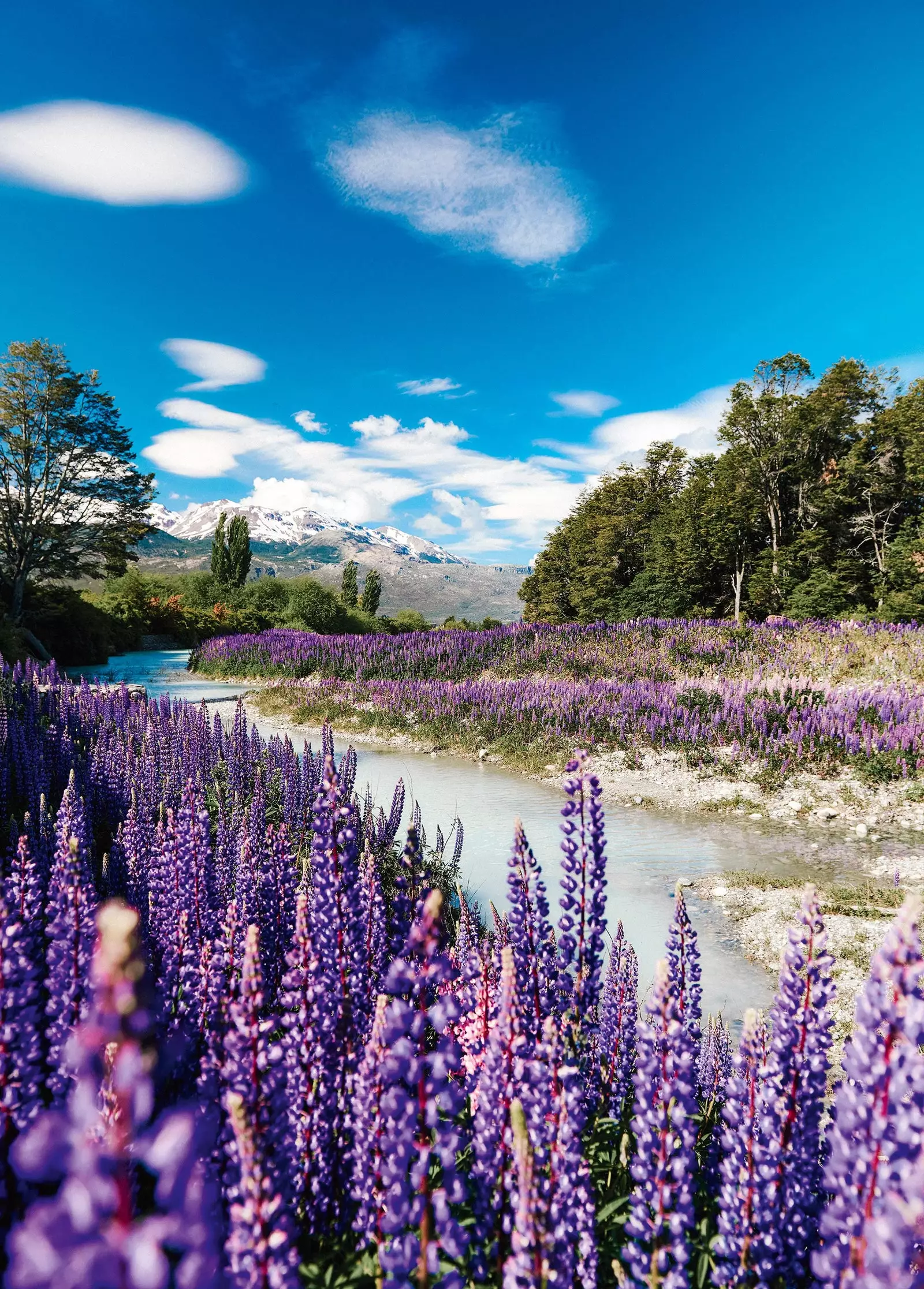 Patagóníu