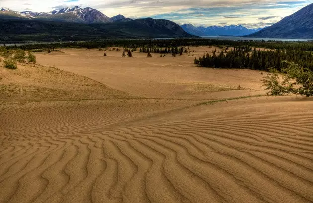 carcross səhrası