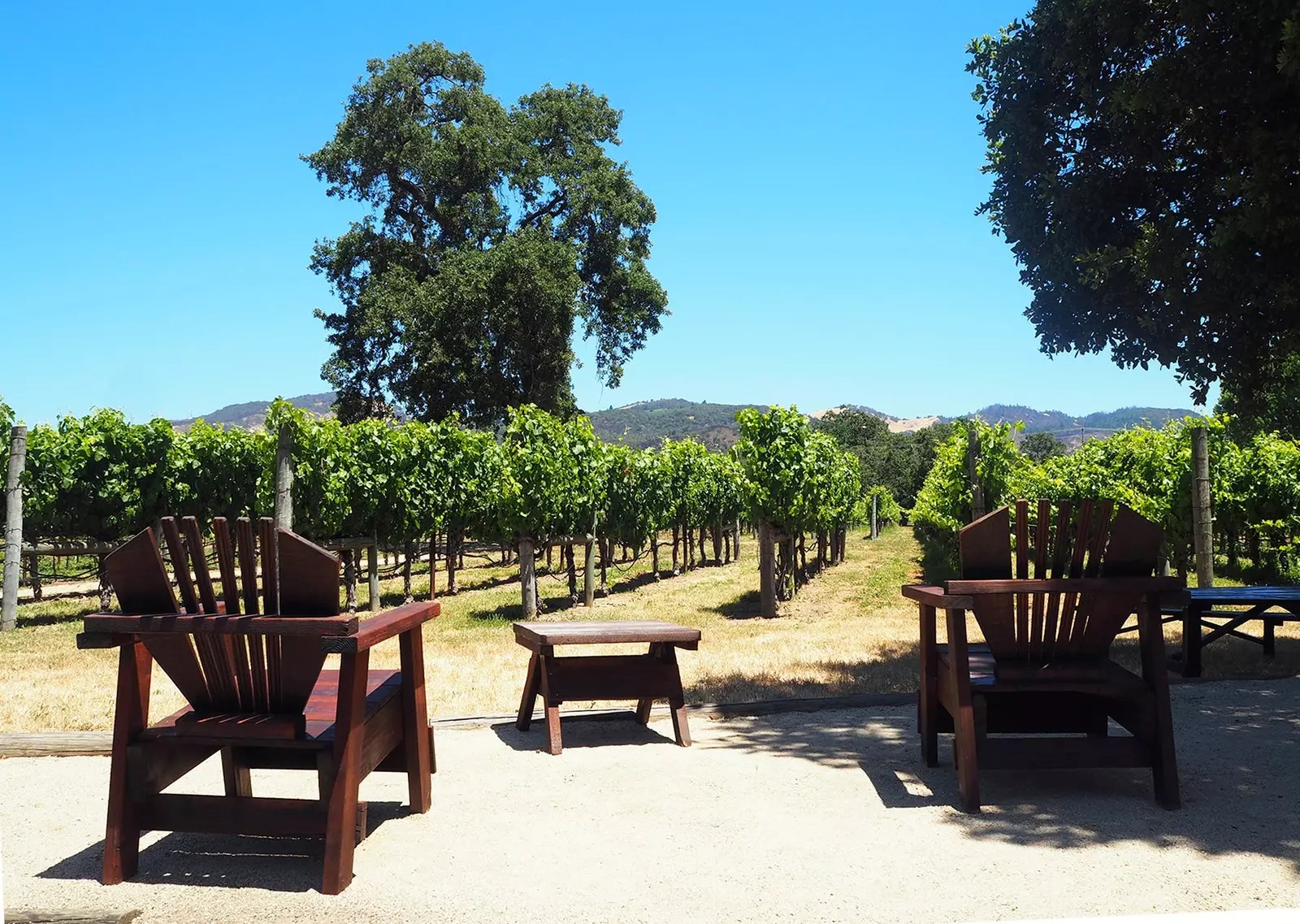 Vistas na vinícola do australiano Chris Loxton em Sonoma, Califórnia.