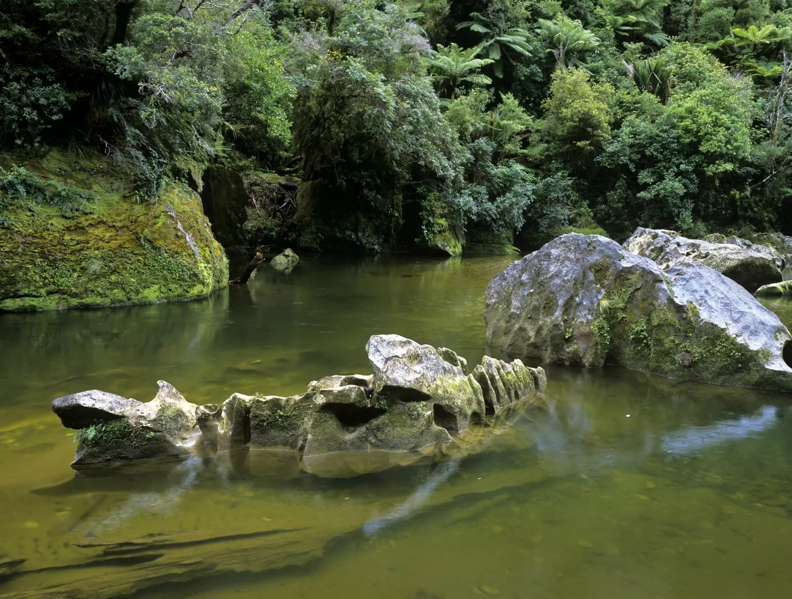 Bedrock nhô ra khỏi sông Poporari.