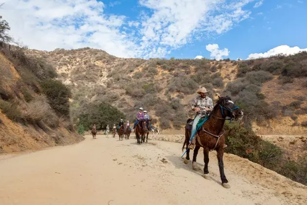 horseback riding