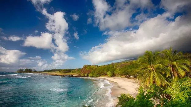 Bonjour! Maui en cinq clés