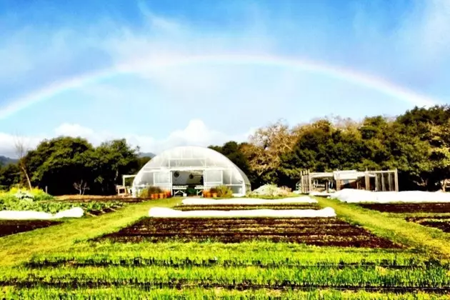 Jardin Culinaire de La Blanchisserie Française