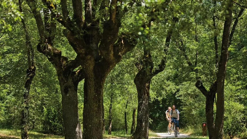 Vitoria-Gasteiz, la città abbracciata da una Cintura Verde di oltre 800 ettari