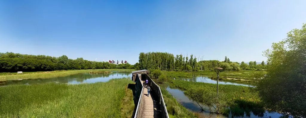 Salburua Wetlands