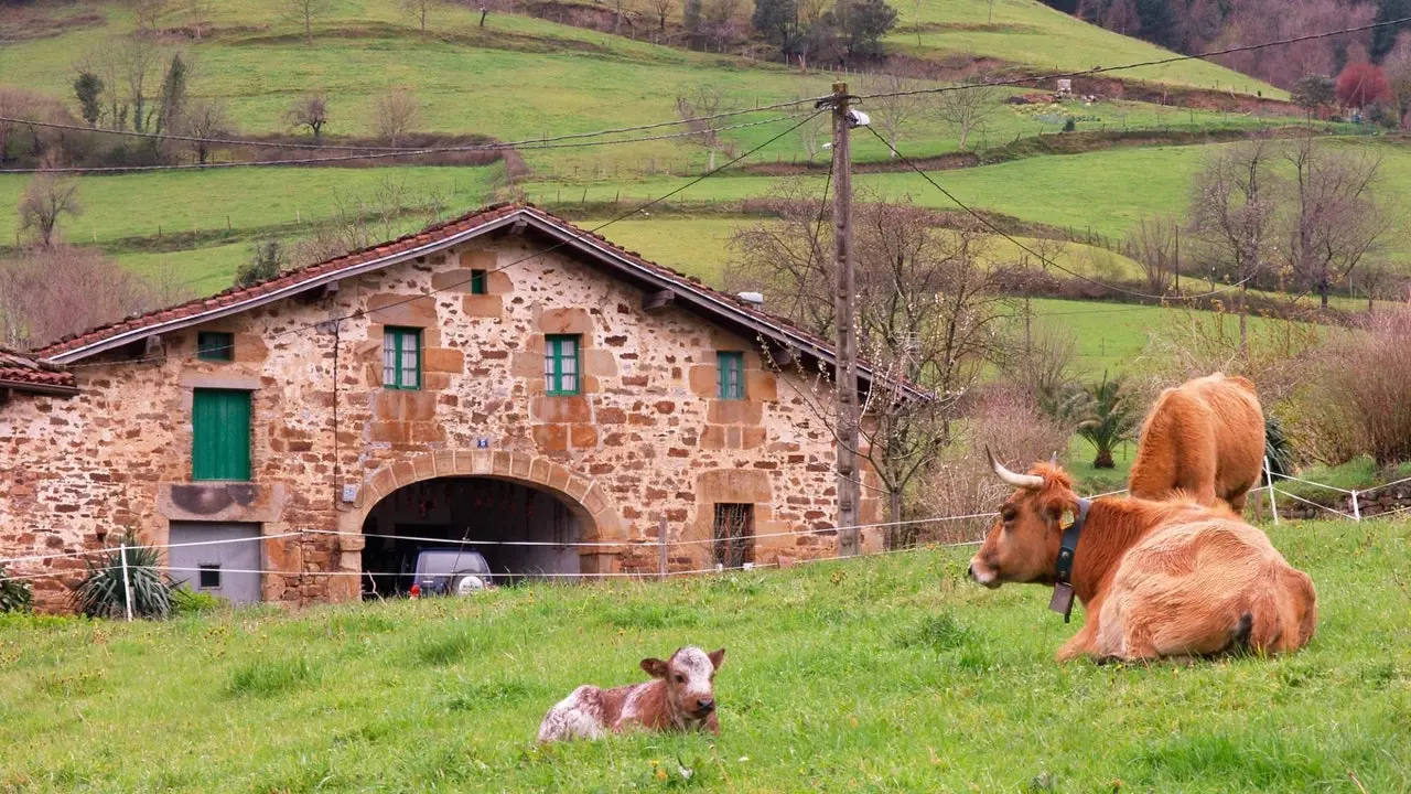 Atxondo, thung lũng kỳ diệu (và dành cho người sành ăn) của Xứ Basque