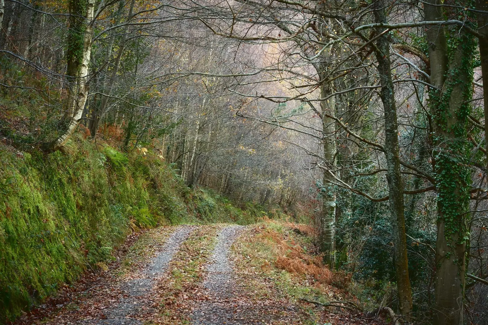 Arrazola Greenway Даліна Atxondo