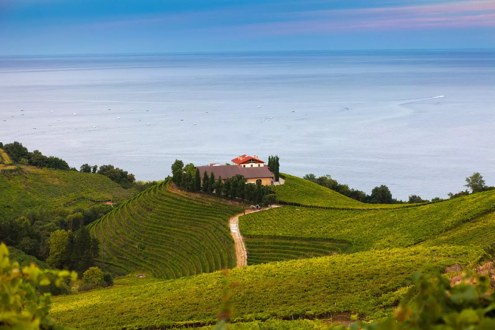 Xacoli-Weinberge mit Blick auf das Kantbrische Meer