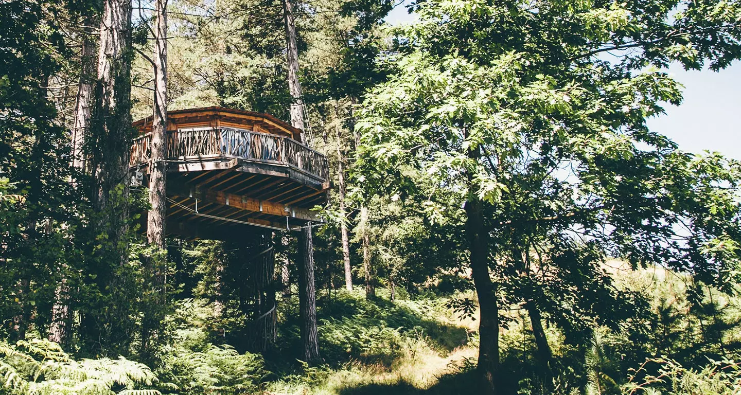 Durma nas cabanas nas árvores da floresta encantada de Otzarreta