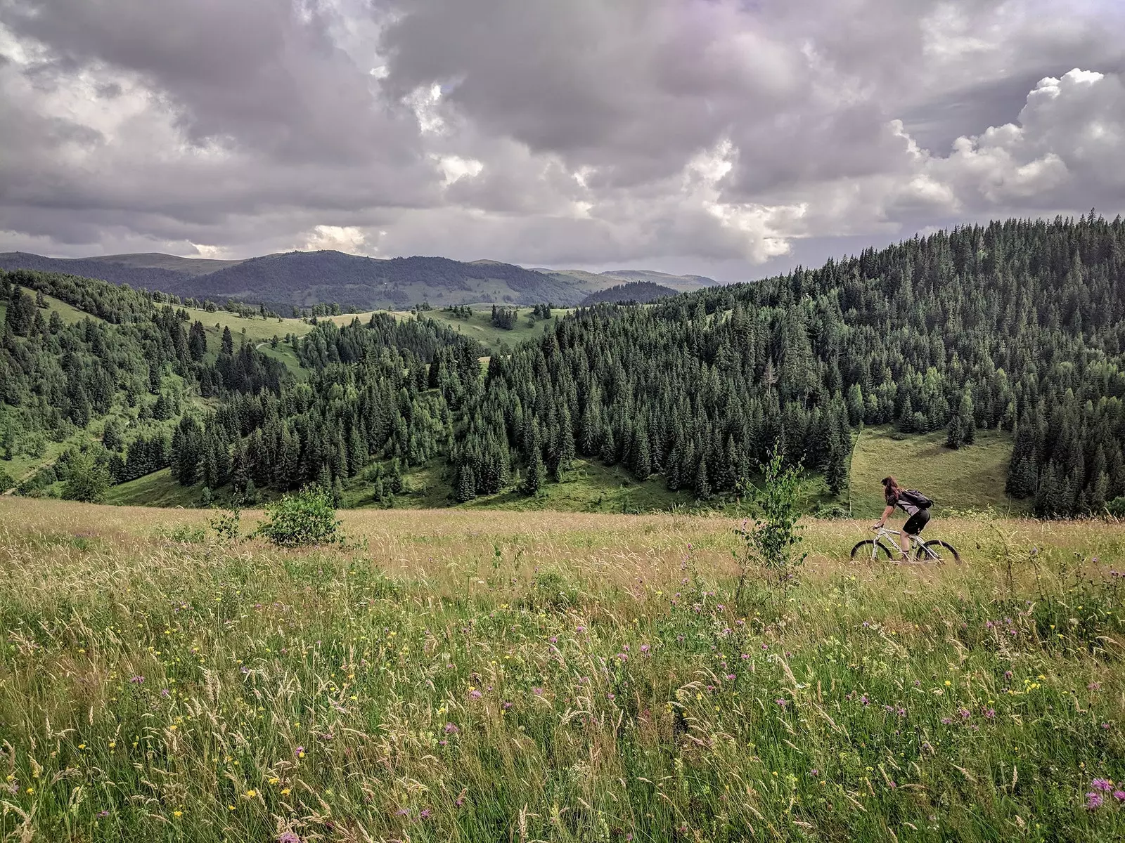 Mulher andando de bicicleta na montanha