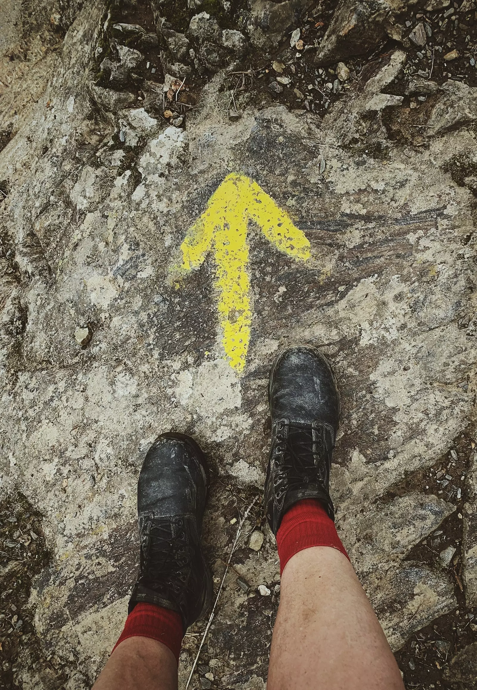 Kada gimė Camino de Santiago? Kaip ir kas jį sukūrė? Šis vadovas sprendžia nežinomus klausimus.