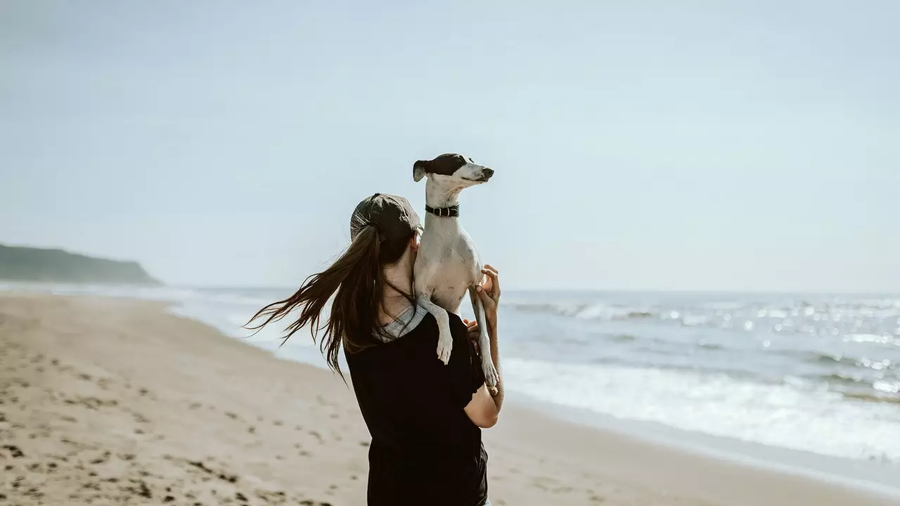 Syv perfekte "hundevennlige" strender å nyte med hunden din i sommer