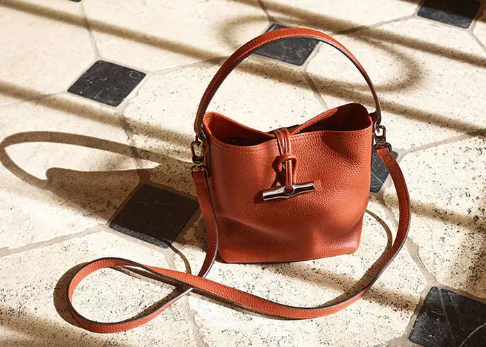 Longchamp bucket bag