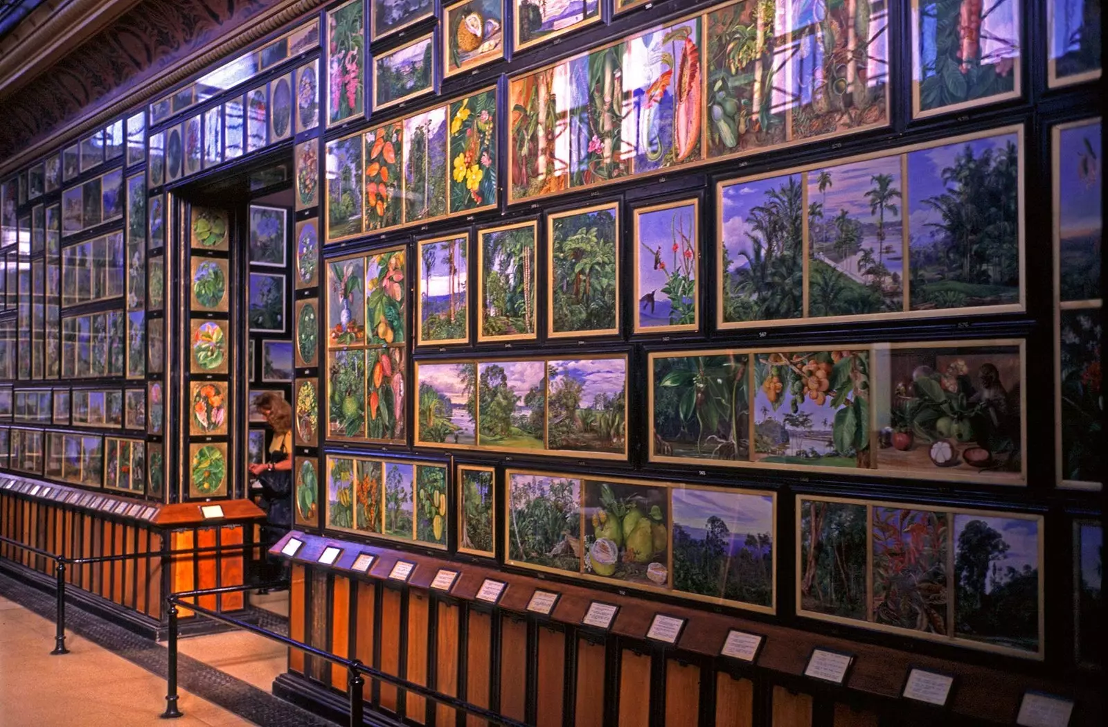 Lucrările lui Marianne North la Kew Gardens