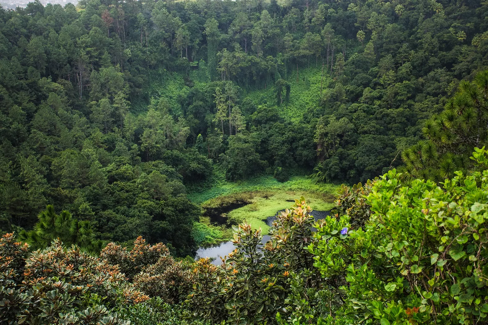 ट्रौ औक्स सेर्फ़्स