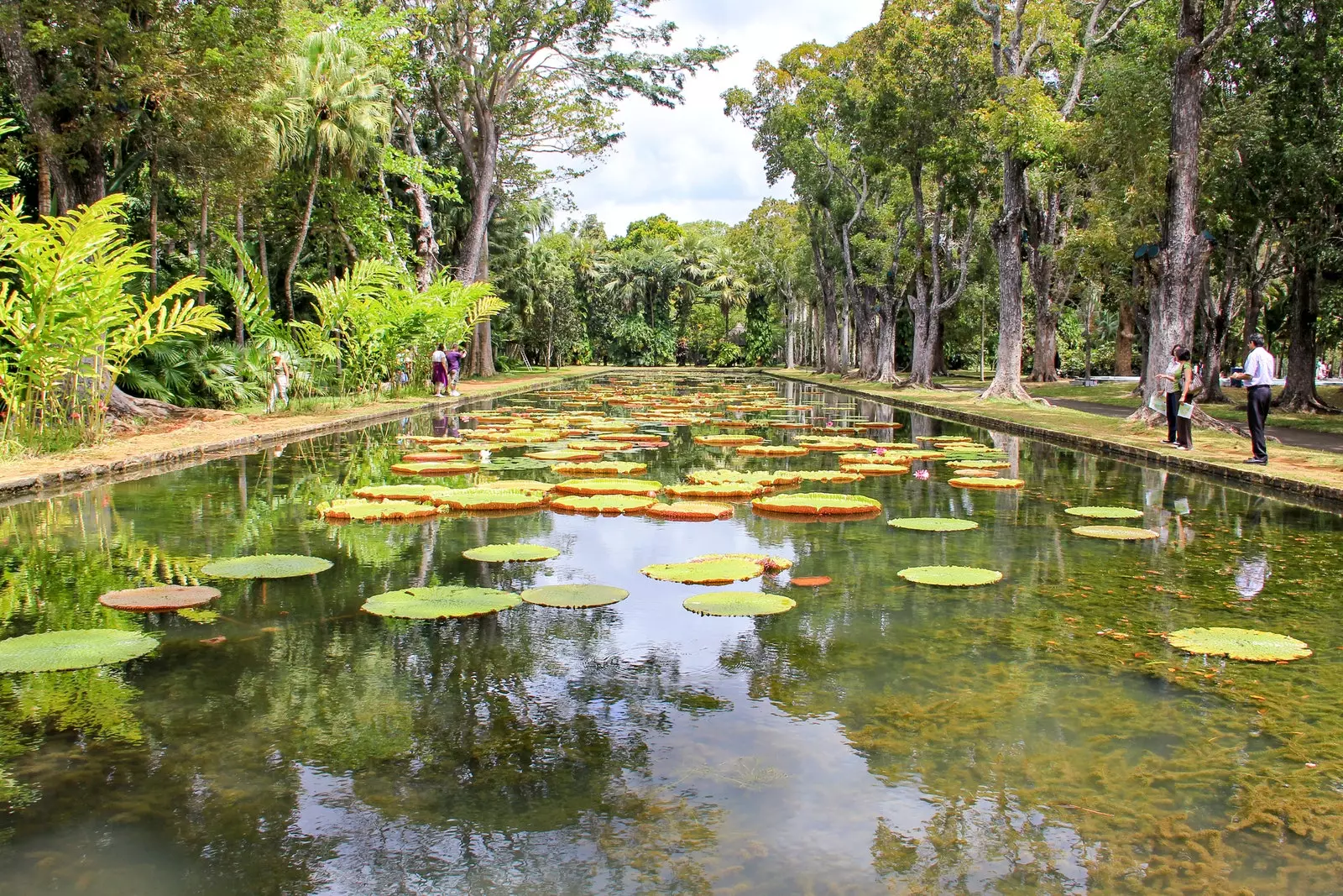 Sir Seewoosagur Ramgoolam Botanische Tuin