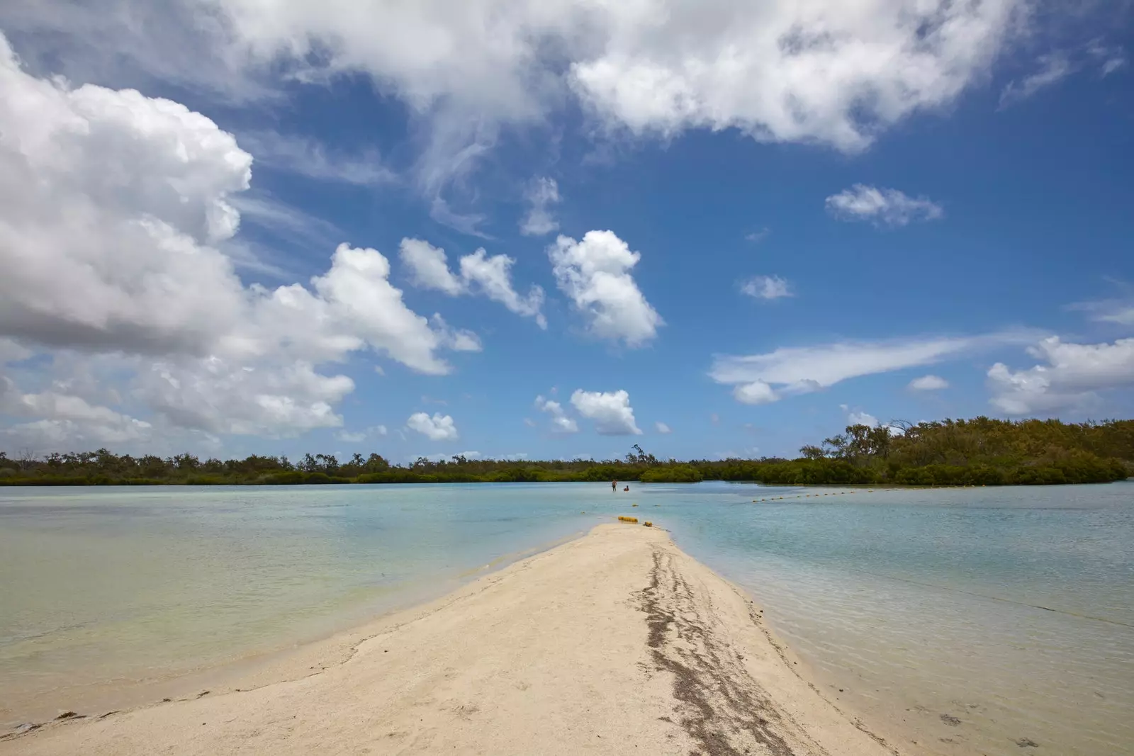 Ile aux Cerfs