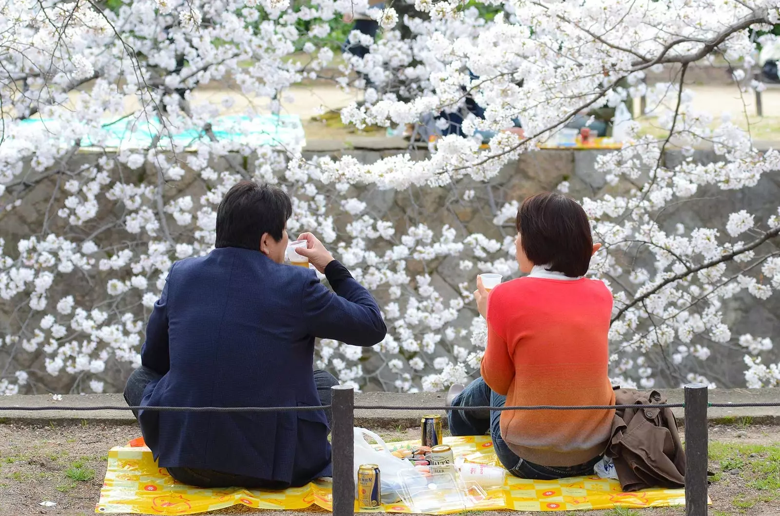 大阪で最も穏やかで気配りのある人々