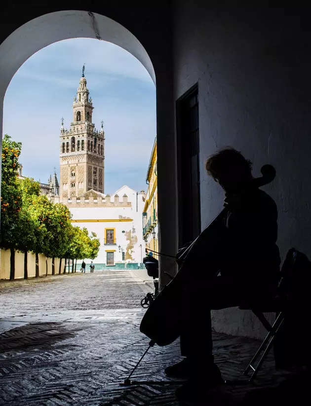 Poznejte historii sevillské katedrály z jiného úhlu.