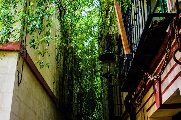 Magická Calle Verde de San Bartolom je jednou z neznámějších čtvrtí v Seville.