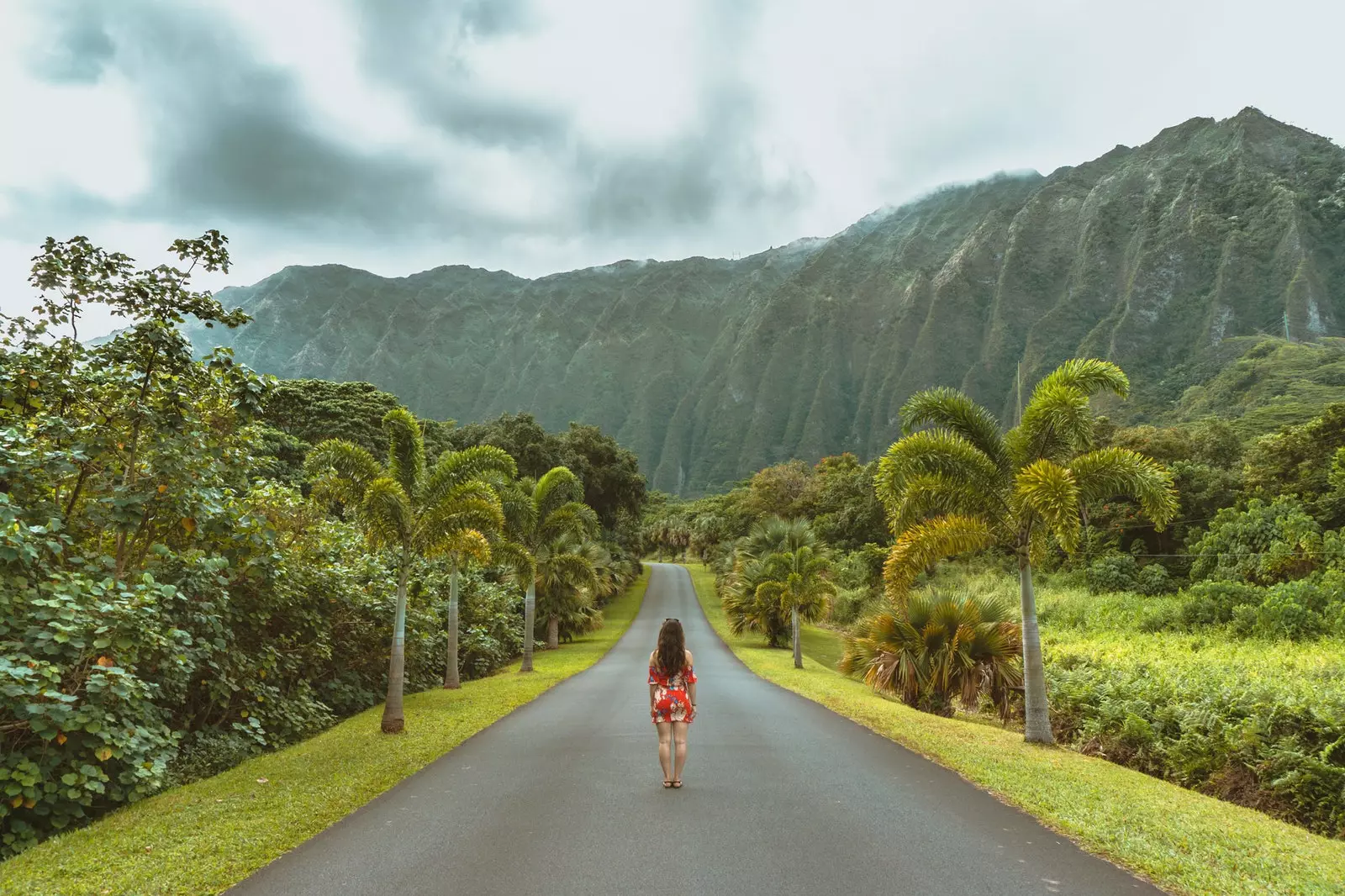 Hawaii öppnar sina dörrar för resenärer från hela världen