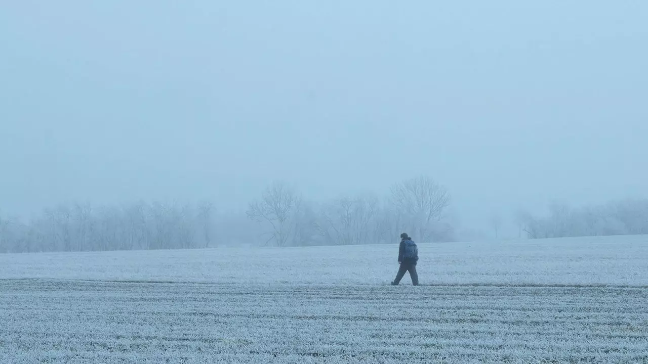 'Dear Werner', seguendo le orme di Herzog in un omaggio al cinema