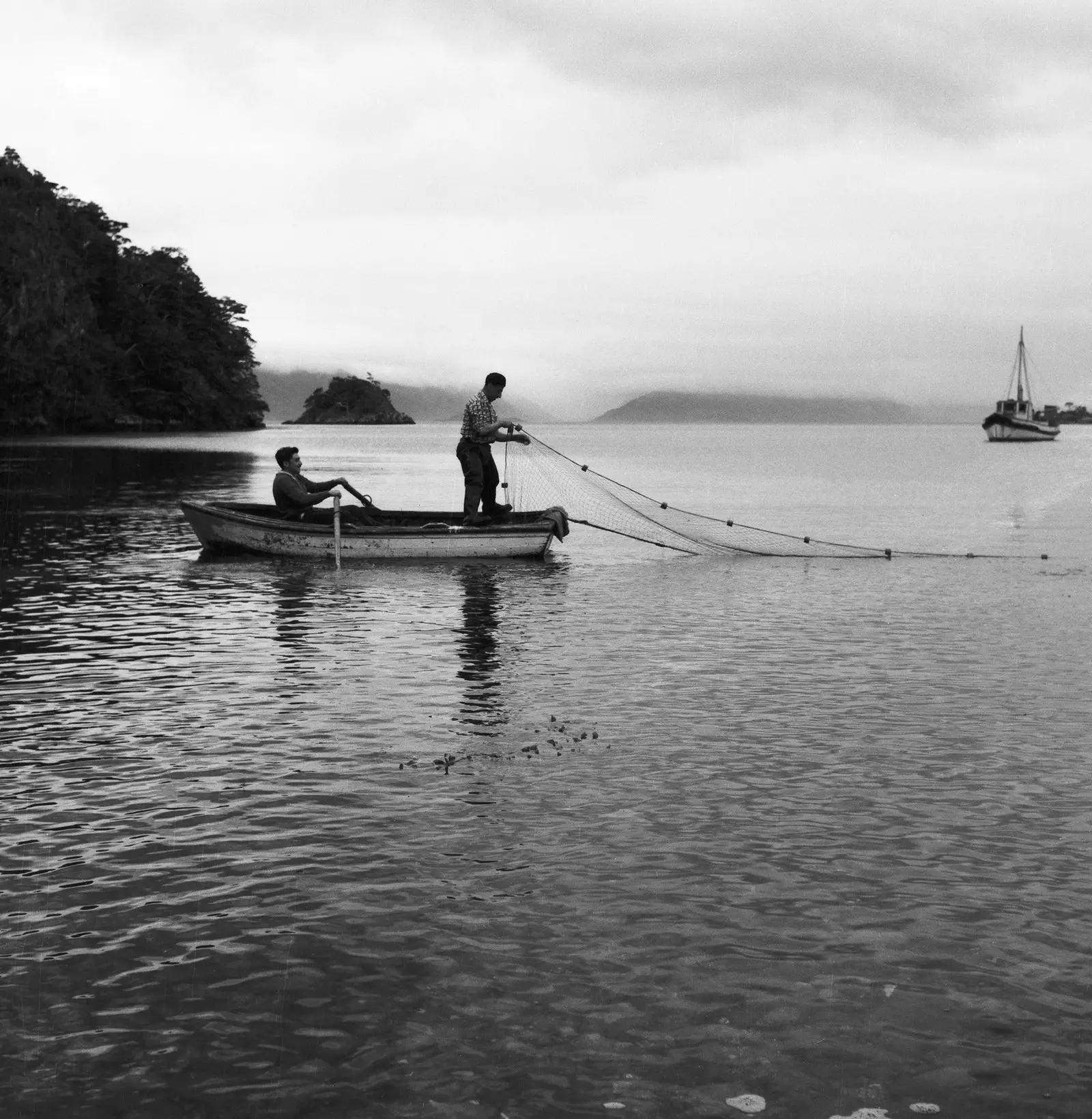 Navarino-eyja hinn „nýji“ heimsendi og mistök Darwins