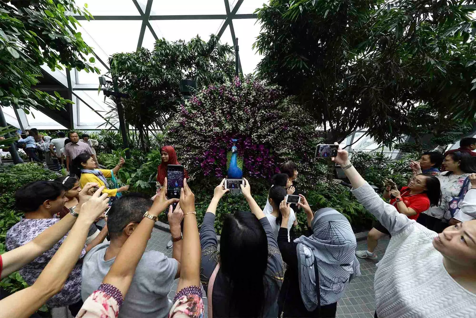 Touristen, die Fotos von Changi machen