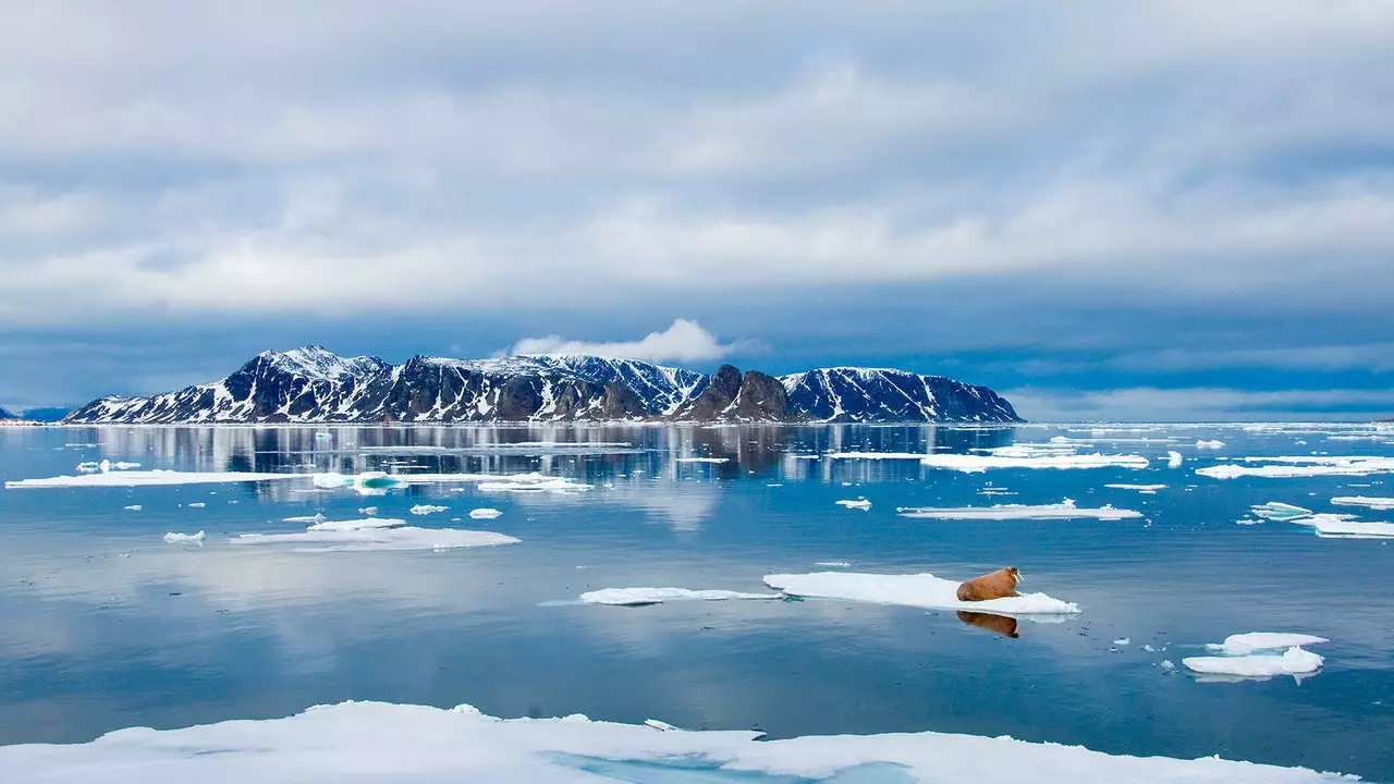 Guia de Svalbard (Noruega)... com Cecilia Blomdahl