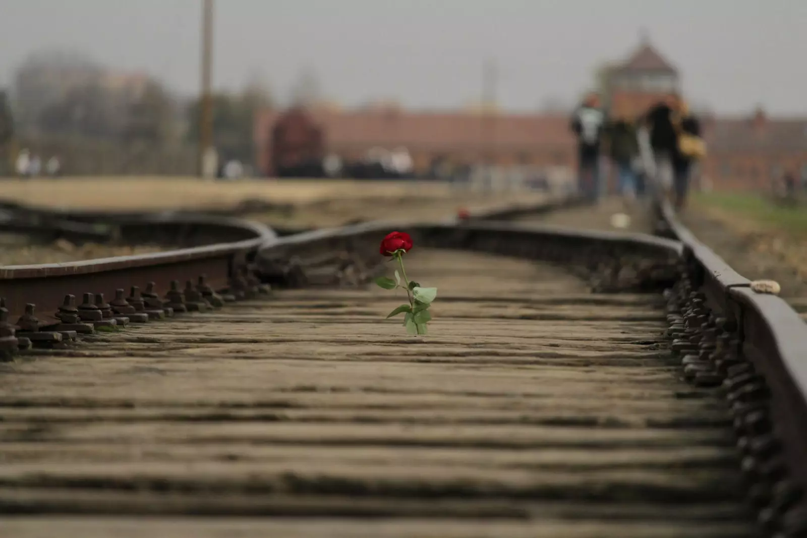 Lagărul de concentrare de la Auschwitz, Polonia.